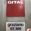 Tornio cnc motorizzato asse Y GRAZIANO GT300 usato